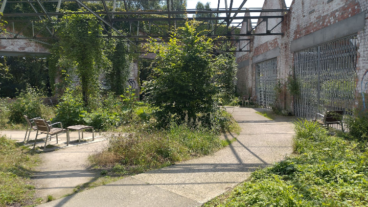 Groene stadstuin in Bijgaardepark, Gent, met zitbanken en voetenbankjes van Servibo onder een industriële staalstructuur en omringd door wilde beplanting.