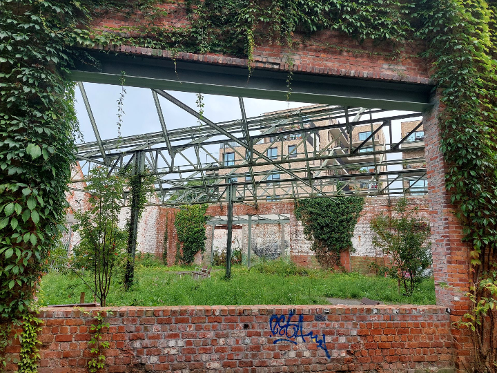 Doorkijk door met klimop begroeid bakstenen raam in Bijgaardepark, Gent, met zicht op groene publieke ruimte, industriële muren en moderne appartementen.