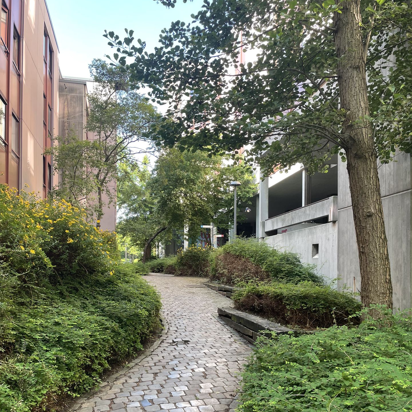 Organisch gevormd wandelpad met beplanting tussen modernistische woonblokken, toont het principe van vrij gebruik zonder gestuurde routing.