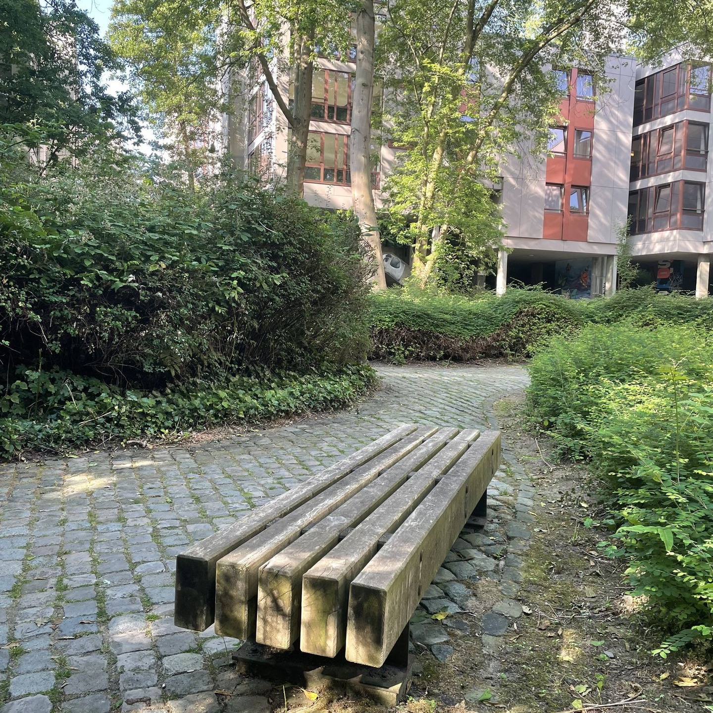 Een houten Tramet zitbank zonder rugleuning staat in een groene, klimaatbestendige binnentuin tussen studentenresidenties in Leuven.