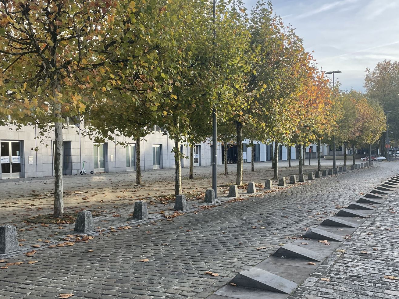 Met bomen omzoomde geplaveide straat met lage stenen parkeerblokkades en grotere wigvormige stenen paaltjes die de voetgangerszone van de rijbaan scheiden.