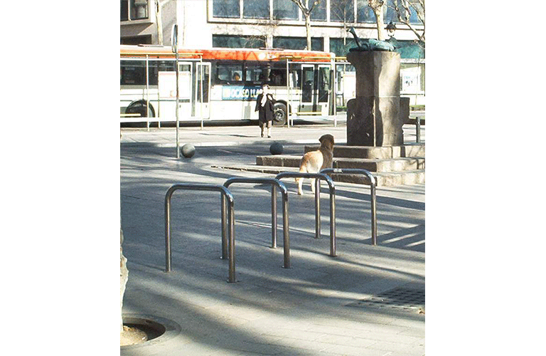 Design  Bici-N ®