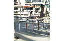 Design  Bici-N ®