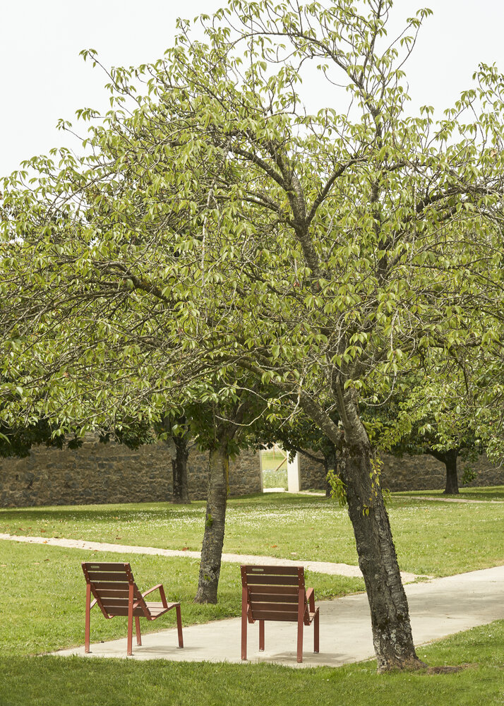 Design zitbank Harpo Lounge - Longue Chair 60 FSC