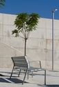 Design zitbank Neoromantico Liviano ALU 175®