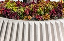 Design plantenbak Lena  Jardinera ® Closed