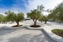 Design plantenbak Otto Module 1 ®