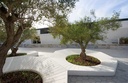 Design plantenbak Otto Module 1 ®