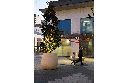 Design plantenbak Catherine Jardinera ® 1240L