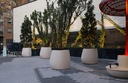 Design plantenbak Catherine Jardinera ® 1240L