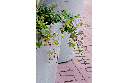 Design plantenbak Conica 450L Jardinera ®