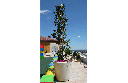 Design plantenbak Conica 450L Jardinera ®