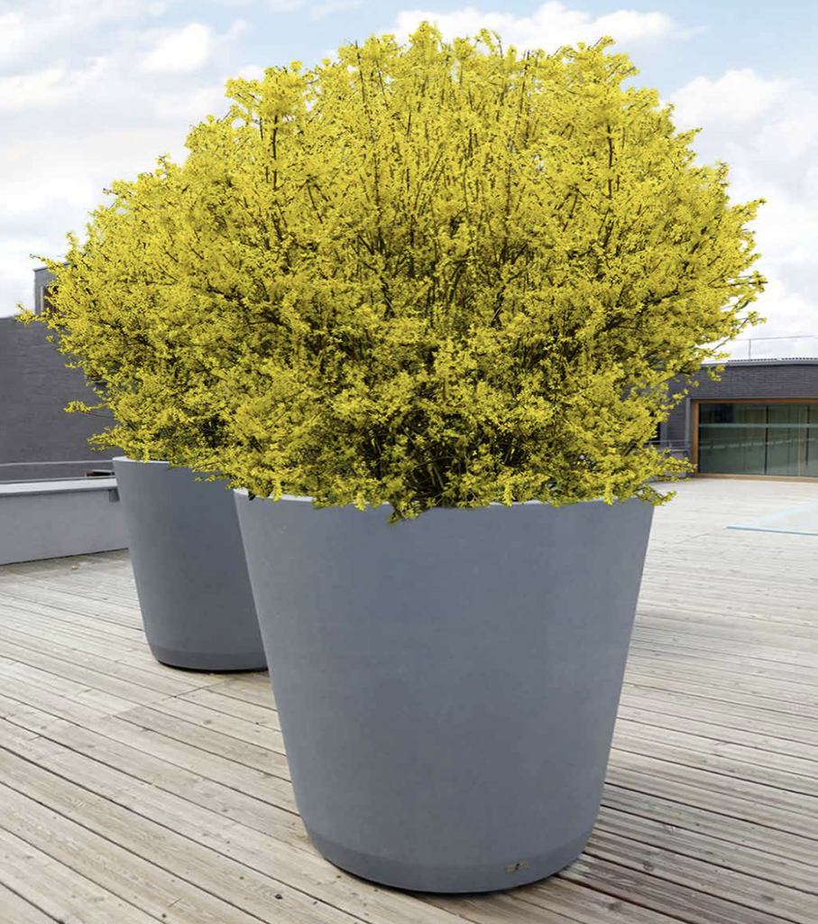 Design plantenbak Conica 650L Jardinera ®