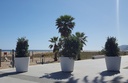 Design plantenbak Conica 650L Jardinera ®