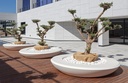 Design plantenbak NIU ®