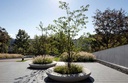 Design plantenbak NIU ®