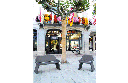 Design zitbank Kelly Banco ®