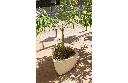 Design plantenbak Bilbao Jardinera 467L ®