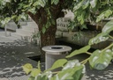 Design Afvalbak Maya Bin 60L ®