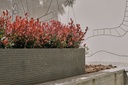 Design Plantenbak Tram Planter 200 ®