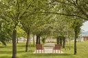 Design zitbank Harpo Lounge - Longue Chair 120 FSC 