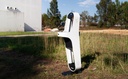 Design Fontein Hydra L  
