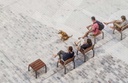 Design stoel Silla Kiwi Brazos ®