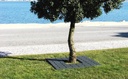 Design boomrooster + 180 ©
