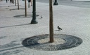 Design boomrooster Aliados 120 ©