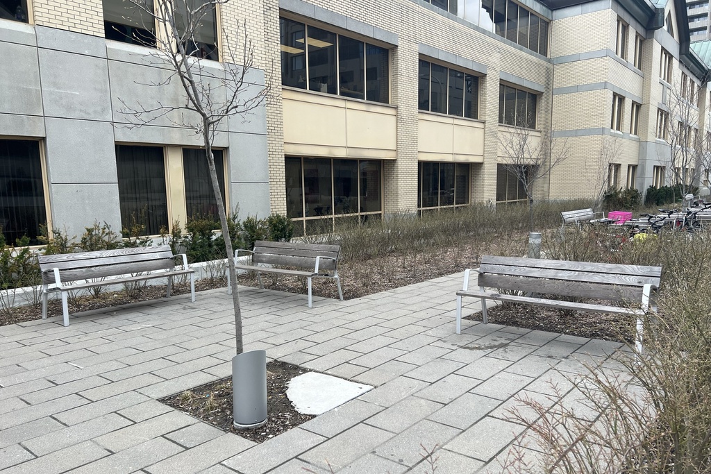 Banc design NeoRomántico Liviano 175® FSC Pine