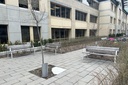 Banc design NeoRomántico Liviano 175® FSC Pine
