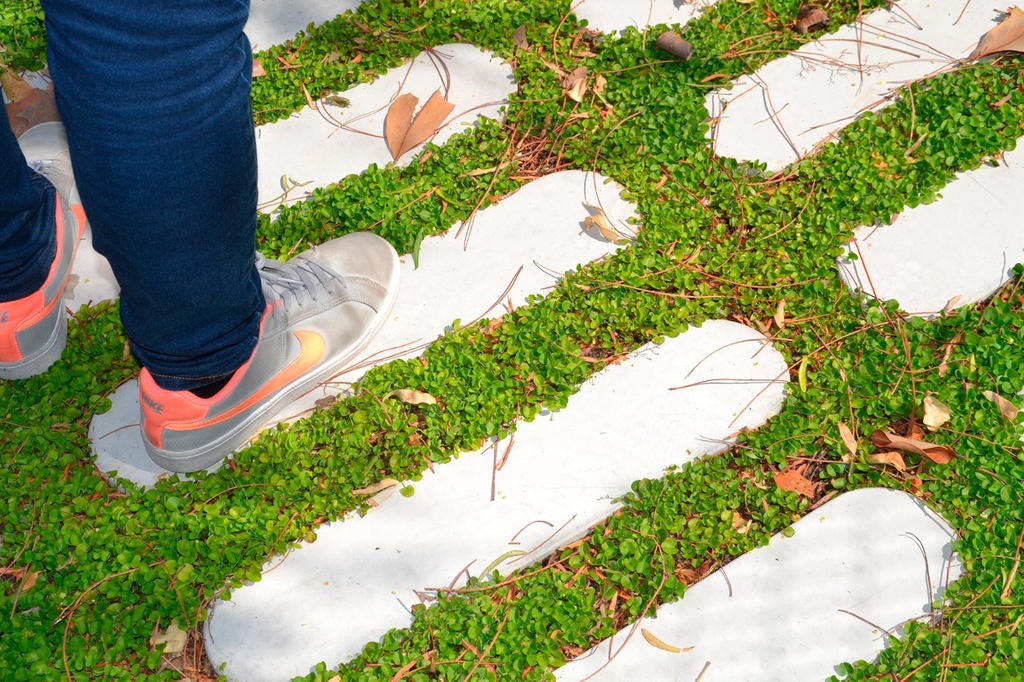 Design paving Redes ® 