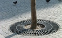 Design tree grate Aliados 120 © 